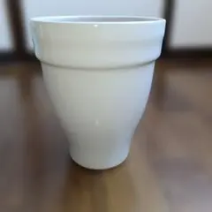 贈答用胡蝶蘭の陶器鉢　園芸資材　洋ラン　観葉植物　白い陶器　底穴ありのサムネイル