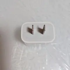 Apple type C 充電 純正