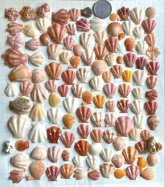 Item thumbnail for item 48cab809-662c-4e36-836d-ca2907a0be46