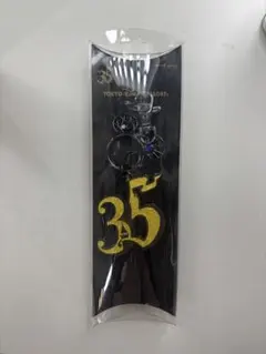 東京ディズニーリゾート 35周年記念キーホルダー