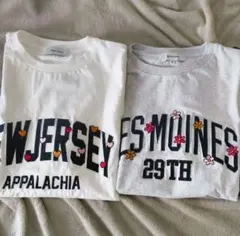 Item thumbnail for item 8eb41e9a-d20d-4170-939d-742c5b7ce84f