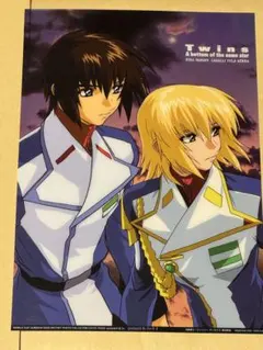 機動戦士ガンダムSEED DESTINY フォトコレクション キラ&カガリ