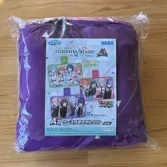 プロセカ セガラッキーくじ A賞 ケース付きタオルケット