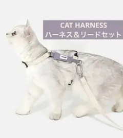 新品同様】HAY ドッグカラー 犬用首輪 ブルー×ブラック 40-65cm - メルカリ