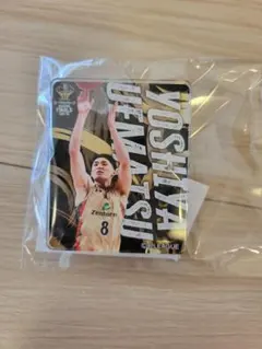 Item thumbnail for item d01bae92-0c7d-4883-b476-52e113f16743