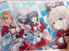 石井優希元選手サイン入りカレンダータペストリー 石井優希元選手サイン入りカレンダータペストリー - メルカリ