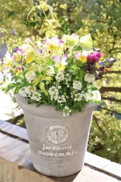 葉牡丹　シクラメン等　寄せ植え　直径約34cmハンギングリース　140サイズ発送 2025年最新】葉牡丹寄せ植えの人気アイテム - メルカリ 葉牡丹