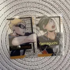 月島蛍 山口忠 ハイキュー!! ファンパーク 箔押しクリアカード カード