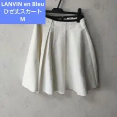 LANVIN en Bleu ひざ丈スカート 38サイズ ホワイトのサムネイル