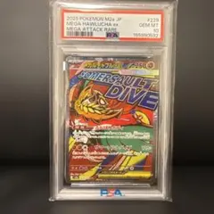 メガルチャブルex MEGA HAWLUCHA ex psa10