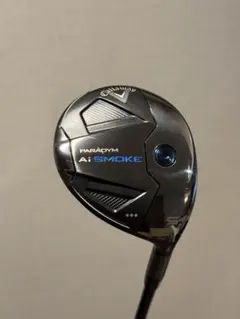ほぼ新品で最安値！パラダイム　トリプルダイヤ・5W（美品ヘッドカバー付き） 2026年最新】パラダイム トリプルダイヤ 5wの人気アイテム - メルカリ