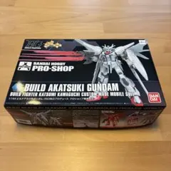HGBF ビルドアカツキガンダム 未組立品【匿名配送】 - メルカリ