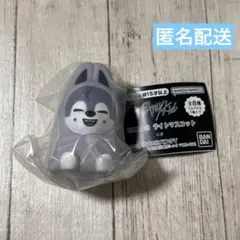 スキズ straykids SKZOO ライトマスコット ウルフチャン