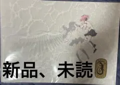 映画 魔法少女まどか☆マギカ まどマギ ワルプルギスの廻天 パンフレット 特装版