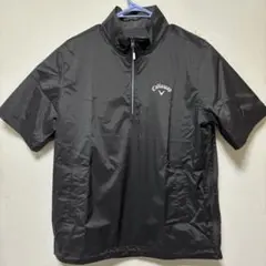 Item thumbnail for item 9b3f6043-7f56-456e-9d76-0cd311295f03