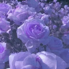 雨※ブロフ必読様専用ページ