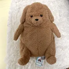 　ぬいぐるみ　AMORE　DOG　犬 楽天市場】【正規販売代理店】【選べるラッピング】Jellycat