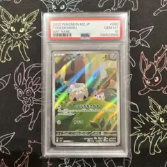 トゲデマル AR 090/080 インフェルノ X PSA10