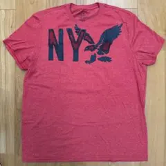 AMERICAN EAGLE OUTFITTERS メンズ Tシャツ XXL
