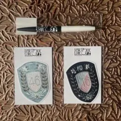 Item thumbnail for item 9c687d14-8b84-4dc4-bfff-c19d5a9e88cf