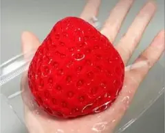 大人気☆袋付きもちもちスクイーズ　いちごスクイーズ