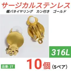 316L サージカルステンレス 蝶バネイヤリング シルバー - メルカリ