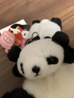 Item thumbnail for item 1cc1f4d2-d0c3-40ee-8677-1d858aee2ca7