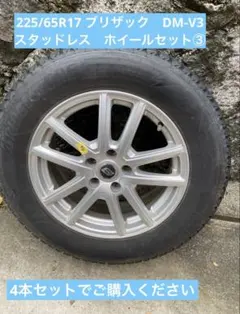 2025年最新】225/65r17 dm-v3の人気アイテム - メルカリ