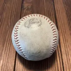 2026年最新】npb公式球の人気アイテム - メルカリ