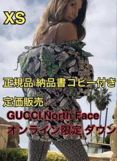 超激レア THE NORTH FACE × GUCCI グッチ ノースフェイス