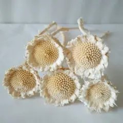 うさこ様 リクエスト 4点 まとめ商品