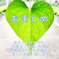 おつぅママ様 リクエスト 2点 まとめ商品
