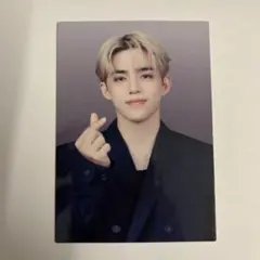 SEVENTEEN セブチ NEW_ フォトカード トレカ エスクプス