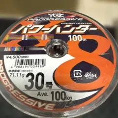 YGK パワーハンター 30号 100m×12連のサムネイル