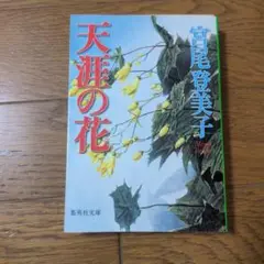 天涯の花　宮尾登美子　集英社文庫