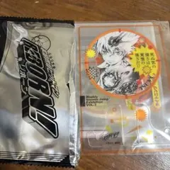 白猫様　専用出品