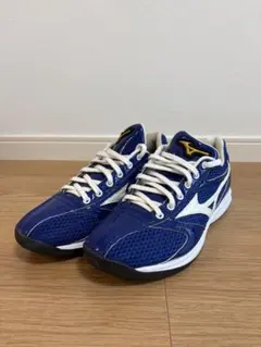 ミズノプロ オーダースパイク 29.0 野球 ミドルカット - メルカリ