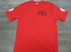 Item thumbnail for item 956d3a8f-cf3a-44a2-ba16-75b68fa3fa1d