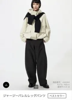 ZARA×STUDIO NICHOLSON ダブルプリーツパンツ サイズ36 - メルカリ