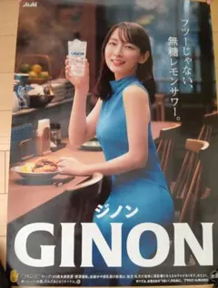 吉岡里帆 特大 ポスター 両面 B2サイズ ジノン GINON 非売品 5枚