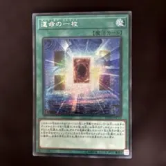 遊戯王 カード運命の一枚