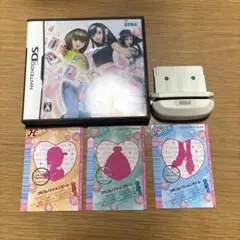 【動作確認済み】オシャレ魔女　ラブアンドベリー　DSカードリーダーセット