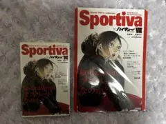 2026年最新】SPORTIVA ハイキュー ビジュアルボードの人気アイテム