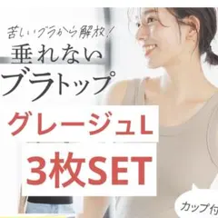 【3枚SET】グレージュL ラディアンヌ　ブラトップ　ブラタンクトップ