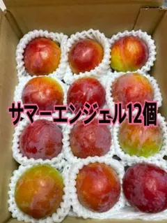 朝どりプラム★サマーエンジェル★12個入りのサムネイル