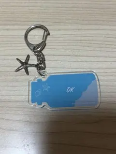 SEVENTEEN キーホルダー BEACH CAFE VACATION～ DK