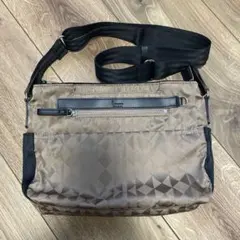 Item thumbnail for item a7469c05-489c-4795-972c-4be3f4118d9c