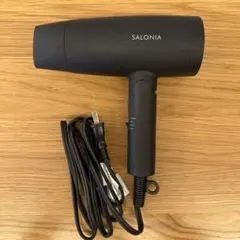 SALONIA スピーディーイオンドライヤー SL-013BK BLACK