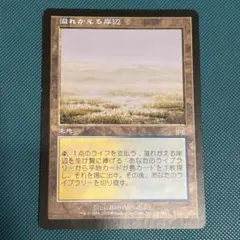 日本語《溢れかえる岸辺/Flooded Strand》[ONS] オンスロート