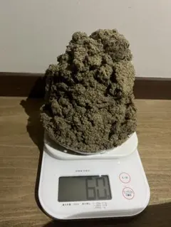 Item thumbnail for item be453c1d-55bc-41d3-a04f-ec1278f83020